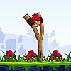 Jeu : Angry Birds Flash